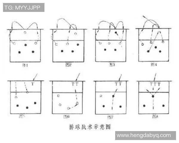 体育实时数据广州排球队中路突破策略解析与战术深度剖析